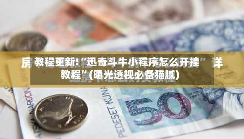 教程更新!“迅奇斗牛小程序怎么开挂教程”(曝光透视必备猫腻)-第3张图片