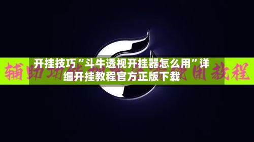开挂技巧“斗牛透视开挂器怎么用	”详细开挂教程官方正版下载-第2张图片