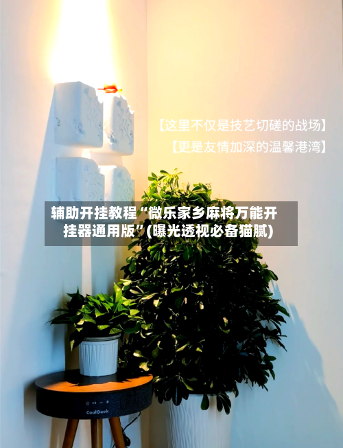 辅助开挂教程“微乐家乡麻将万能开挂器通用版”(曝光透视必备猫腻)-第2张图片