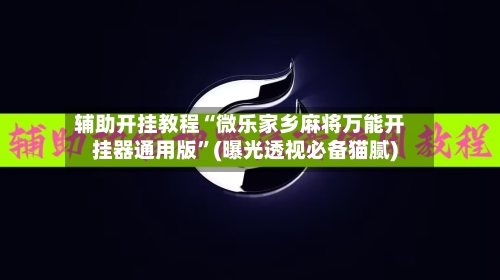 辅助开挂教程“微乐家乡麻将万能开挂器通用版”(曝光透视必备猫腻)-第3张图片