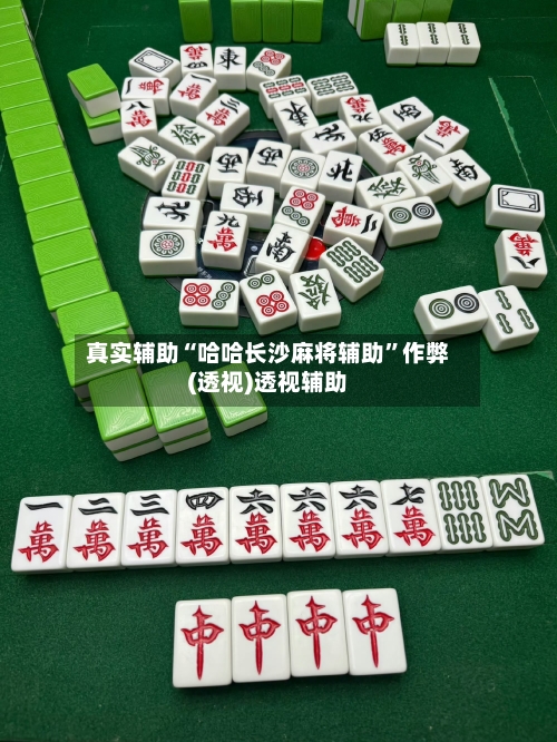 真实辅助“哈哈长沙麻将辅助	”作弊(透视)透视辅助-第2张图片