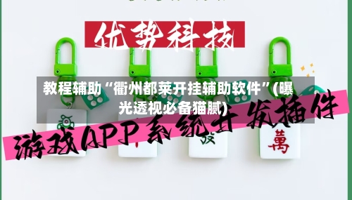 教程辅助“衢州都莱开挂辅助软件”(曝光透视必备猫腻)-第2张图片