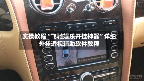 实操教程“飞驰娱乐开挂神器”详细外挂透视辅助软件教程-第3张图片