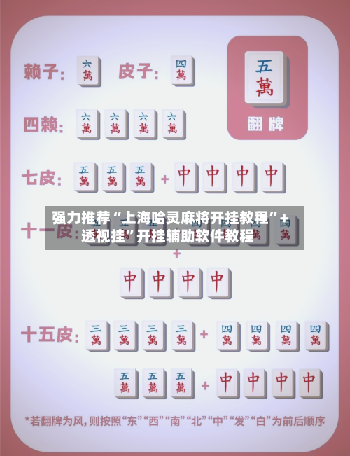 强力推荐“上海哈灵麻将开挂教程”+透视挂	”开挂辅助软件教程-第2张图片