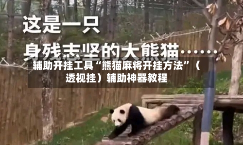 辅助开挂工具“熊猫麻将开挂方法”（透视挂）辅助神器教程-第2张图片