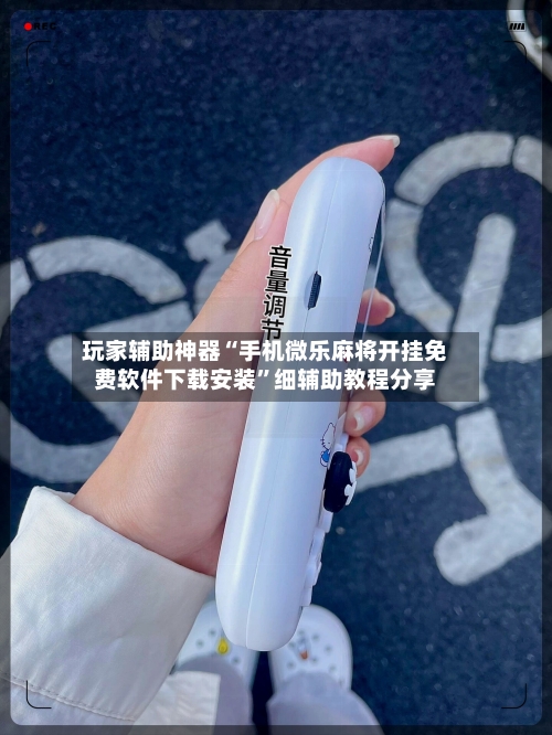 玩家辅助神器“手机微乐麻将开挂免费软件下载安装”细辅助教程分享-第2张图片