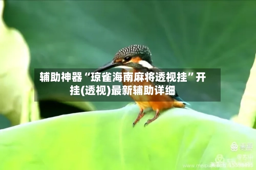 辅助神器“琼雀海南麻将透视挂”开挂(透视)最新辅助详细-第3张图片