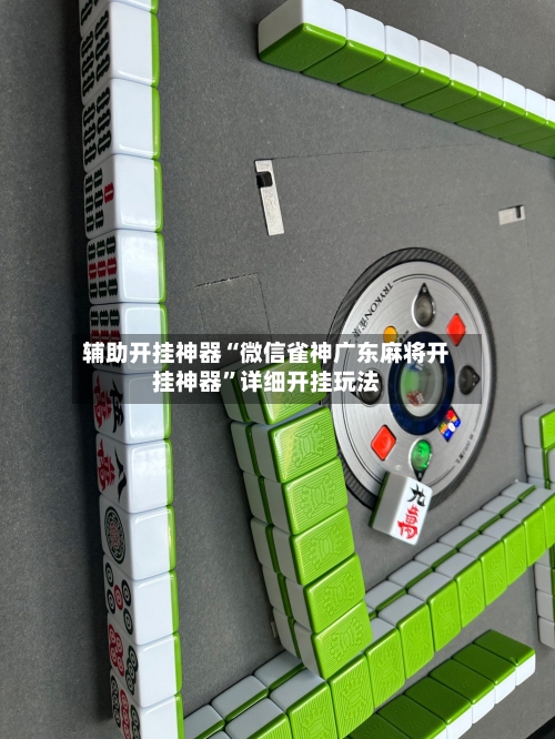 辅助开挂神器“微信雀神广东麻将开挂神器”详细开挂玩法-第2张图片