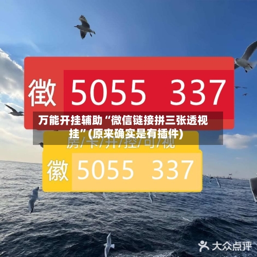 万能开挂辅助“微信链接拼三张透视挂”(原来确实是有插件)-第2张图片