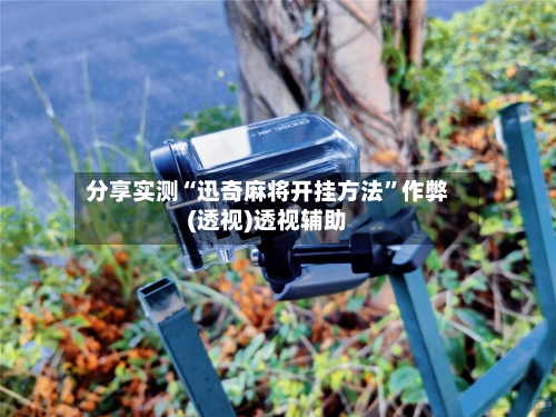 分享实测“迅奇麻将开挂方法”作弊(透视)透视辅助-第3张图片