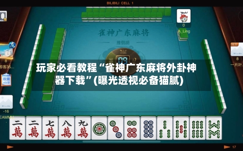玩家必看教程“雀神广东麻将外卦神器下载”(曝光透视必备猫腻)-第2张图片