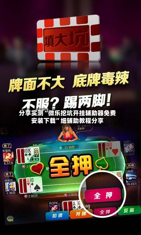 分享实测“微乐挖坑开挂辅助器免费安装下载”细辅助教程分享-第2张图片