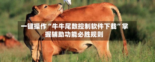 一键操作“牛牛尾数控制软件下载”掌握辅助功能必胜规则