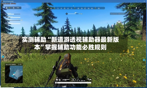 实测辅助“新道游透视辅助器最新版本	”掌握辅助功能必胜规则-第2张图片