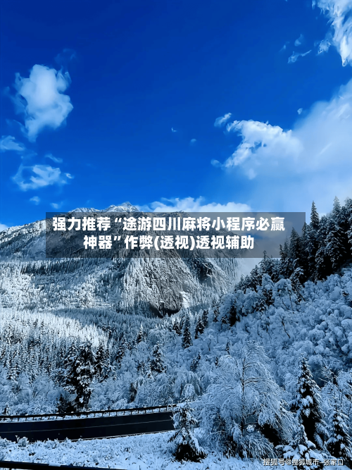 强力推荐“途游四川麻将小程序必赢神器”作弊(透视)透视辅助-第2张图片