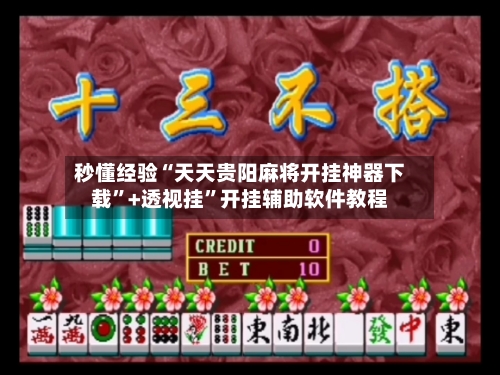 秒懂经验“天天贵阳麻将开挂神器下载	”+透视挂”开挂辅助软件教程-第2张图片