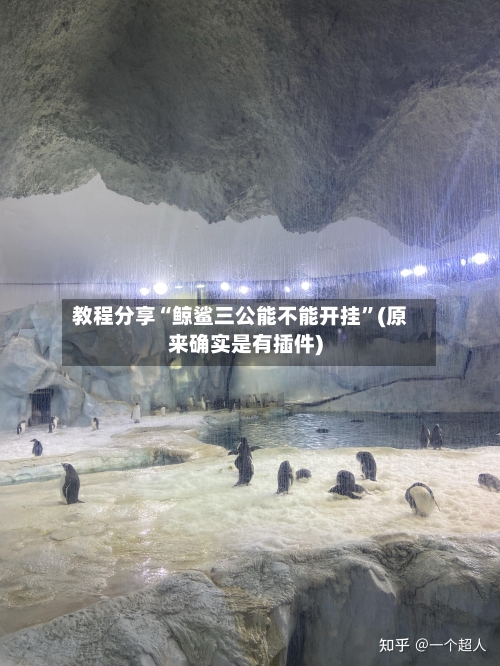 教程分享“鲸鲨三公能不能开挂”(原来确实是有插件)-第2张图片