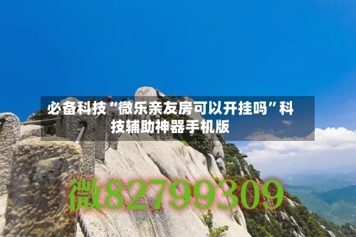 必备科技“微乐亲友房可以开挂吗”科技辅助神器手机版-第3张图片