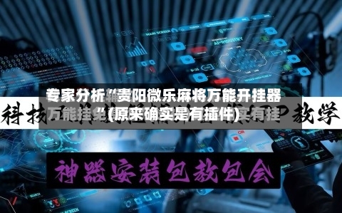 专家分析“贵阳微乐麻将万能开挂器	”(原来确实是有插件)-第2张图片