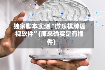 独家脚本实测“微乐棋牌透视软件”(原来确实是有插件)-第3张图片