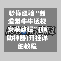秒懂经验“新道游牛牛透视安装教程”(辅助神器)开挂详细教程-第2张图片
