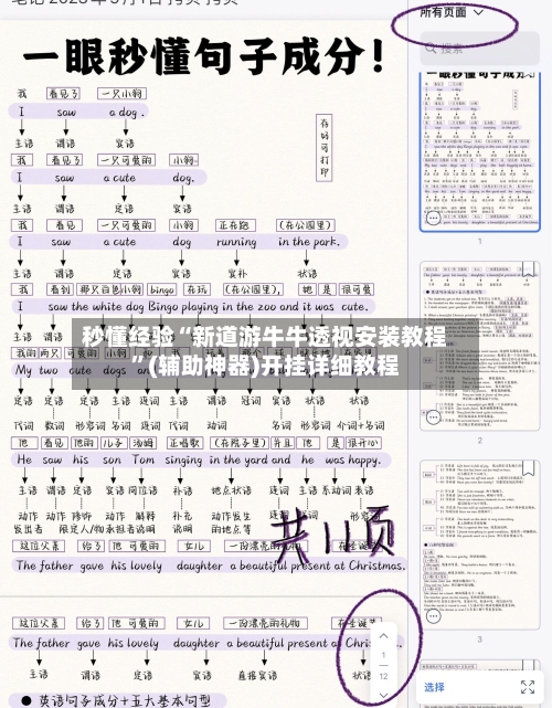 秒懂经验“新道游牛牛透视安装教程	”(辅助神器)开挂详细教程-第3张图片