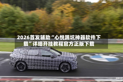 2026首发辅助“心悦踢坑神器软件下载	”详细开挂教程官方正版下载-第2张图片