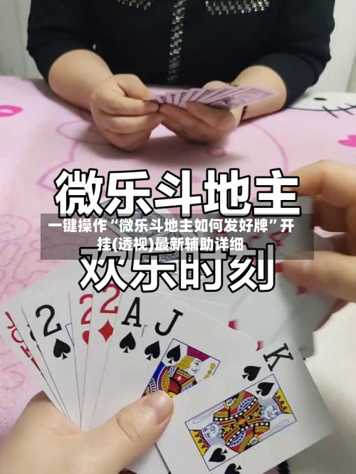 一键操作“微乐斗地主如何发好牌”开挂(透视)最新辅助详细-第2张图片