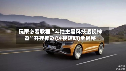 玩家必看教程“斗地主黑科技透视神器	”开挂神器{透视辅助}全揭秘-第2张图片