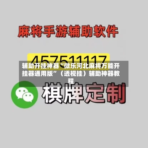 辅助开挂神器“微乐河北麻将万能开挂器通用版”（透视挂）辅助神器教程-第3张图片