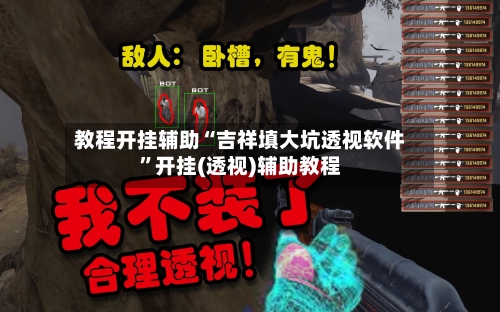 教程开挂辅助“吉祥填大坑透视软件”开挂(透视)辅助教程-第3张图片