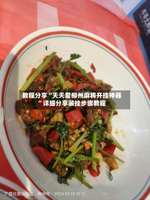 教程分享“天天爱柳州麻将开挂神器”详细分享装挂步骤教程-第2张图片