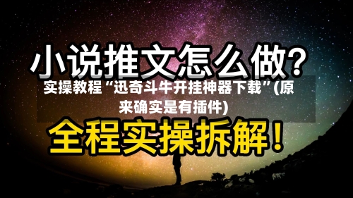 实操教程“迅奇斗牛开挂神器下载	”(原来确实是有插件)-第2张图片