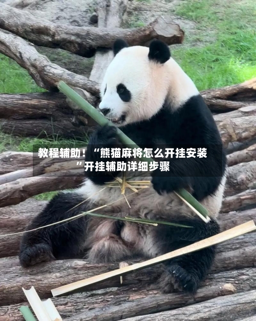 教程辅助！“熊猫麻将怎么开挂安装”开挂辅助详细步骤-第2张图片