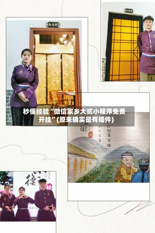 秒懂经验“微信家乡大贰小程序免费开挂	”(原来确实是有插件)-第2张图片