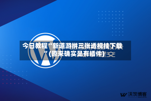 今日教程“新道游拼三张透视挂下载	”(原来确实是有插件)-第2张图片