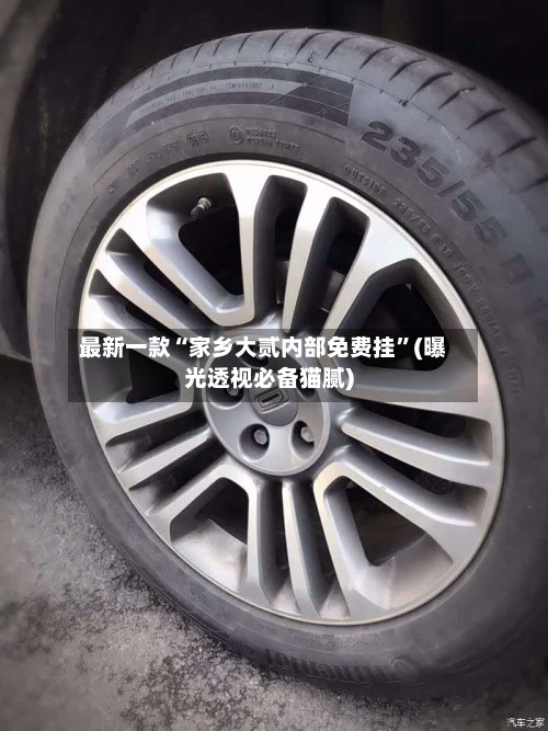 最新一款“家乡大贰内部免费挂”(曝光透视必备猫腻)