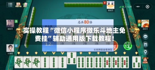 实操教程“微信小程序微乐斗地主免费挂”辅助通用版下载教程！-第2张图片