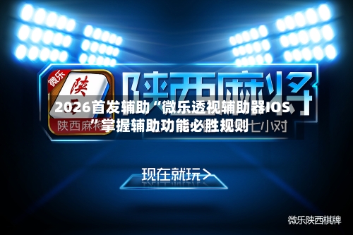 2026首发辅助“微乐透视辅助器IOS”掌握辅助功能必胜规则-第2张图片