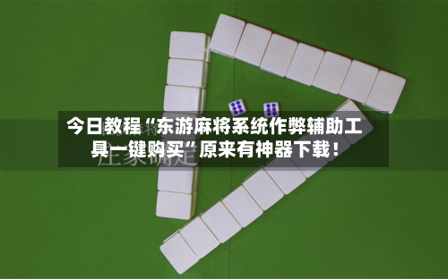 今日教程“东游麻将系统作弊辅助工具一键购买	”原来有神器下载！-第3张图片