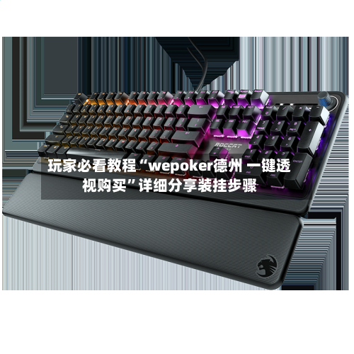 玩家必看教程“wepoker德州 一键透视购买”详细分享装挂步骤-第3张图片