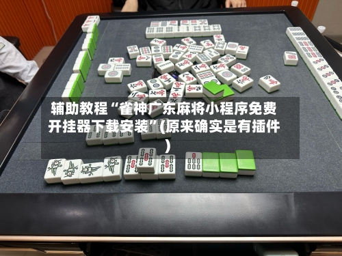 辅助教程“雀神广东麻将小程序免费开挂器下载安装”(原来确实是有插件)-第3张图片