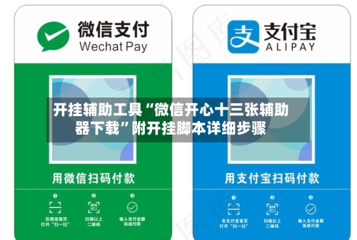 开挂辅助工具“微信开心十三张辅助器下载	”附开挂脚本详细步骤-第3张图片