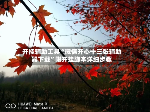 开挂辅助工具“微信开心十三张辅助器下载”附开挂脚本详细步骤-第2张图片