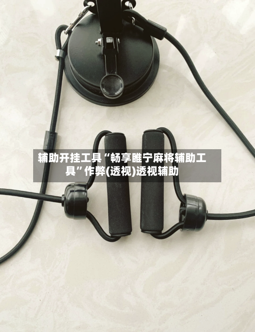 辅助开挂工具“畅享睢宁麻将辅助工具”作弊(透视)透视辅助-第2张图片