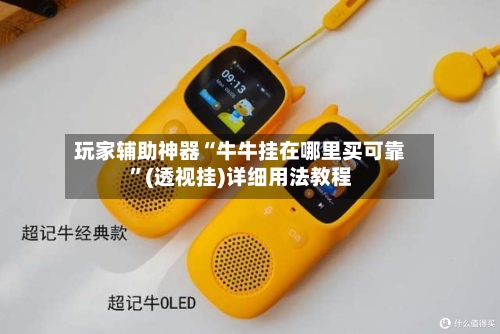 玩家辅助神器“牛牛挂在哪里买可靠”(透视挂)详细用法教程-第2张图片