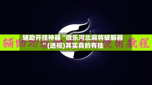 辅助开挂神器“微乐河北麻将破解器”(透视)其实真的有挂-第3张图片