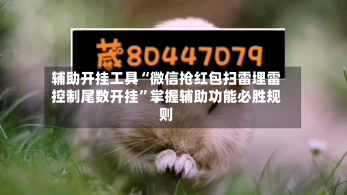 辅助开挂工具“微信抢红包扫雷埋雷控制尾数开挂”掌握辅助功能必胜规则-第2张图片