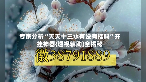 专家分析“天天十三水有没有挂吗”开挂神器{透视辅助}全揭秘
