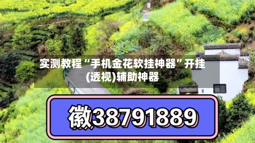 实测教程“手机金花软挂神器”开挂(透视)辅助神器-第3张图片